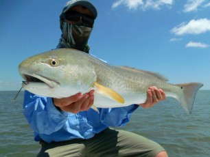 Solid Flamingo Redfish