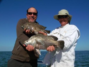 Flamingo Triple Tail Double