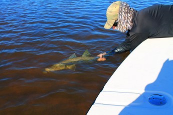 Carlos Baz January 4