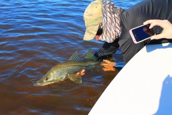 Carlos Baz email pic 7