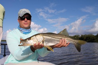 Flamingo Everglades Snook