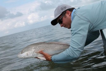Releasing Flamingo Redfish