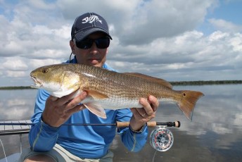 Fly Fishing Flamingo Redfish